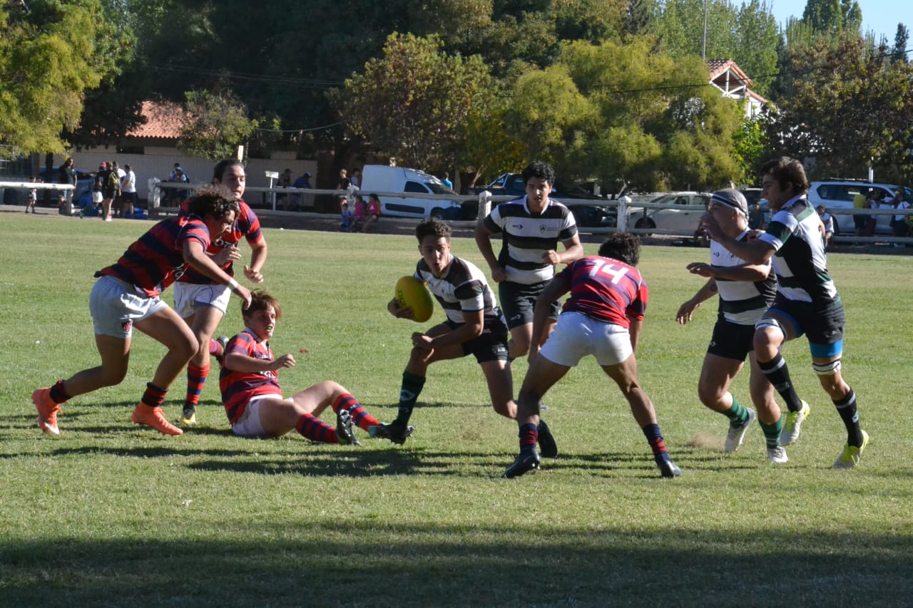 Los Tordos se quedó con el Torneo Vendimia M19