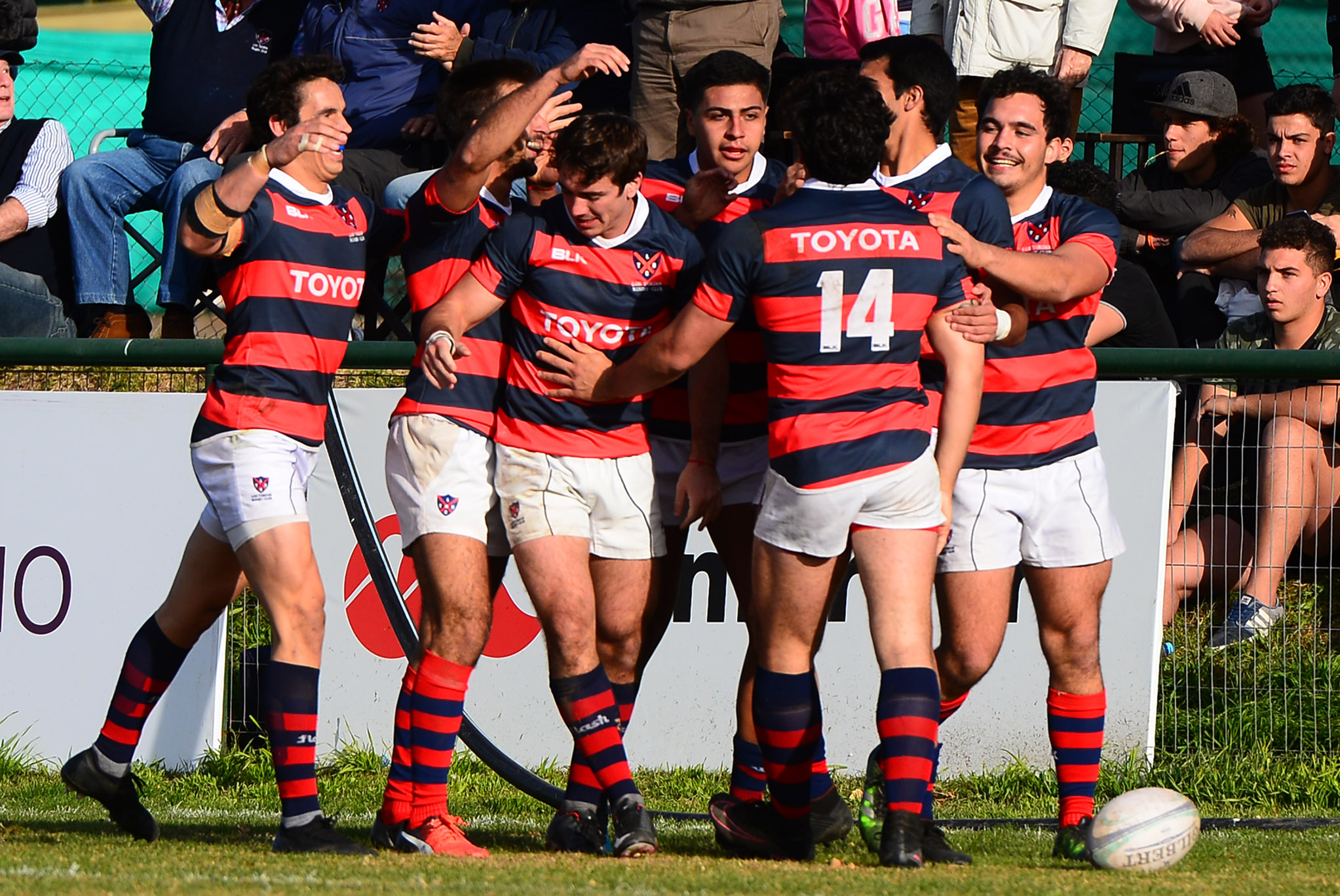 Los Tordos sigue ganando y se clasificó a semifinales