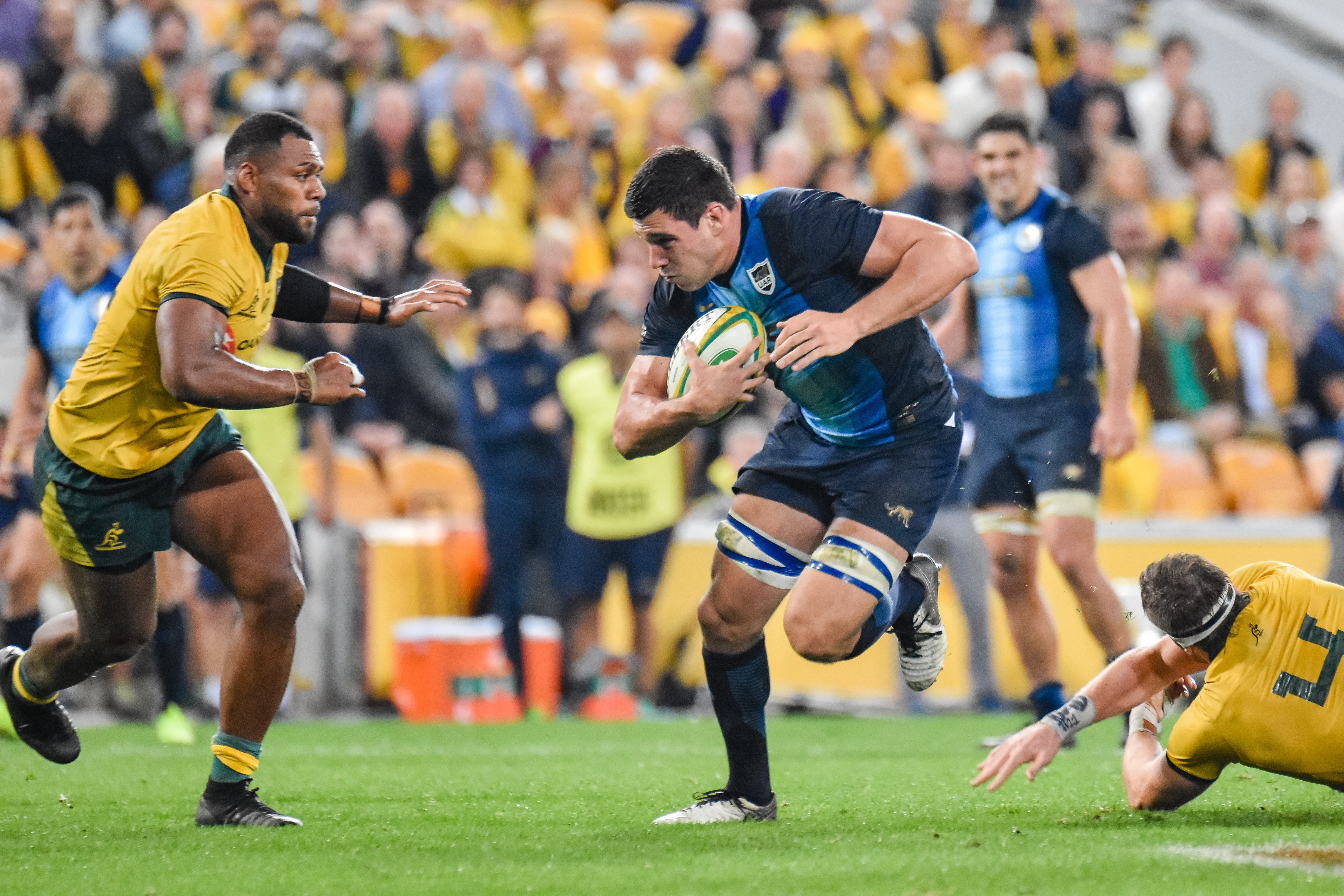 Los Pumas jugaron mal y cayeron frente a los Wallabies 16 a 10