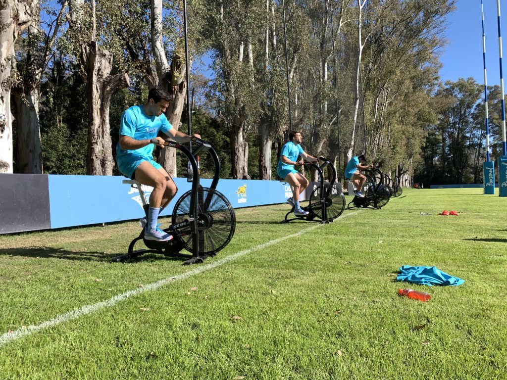 Los Pumas: el coronavirus complican la preparación para el Rugby Championship