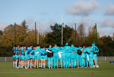 Los Pumas ya tienen equipo para enfrentar a Francia