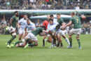 Los Pumas cayeron ante Sudáfrica y quedaron sin chances en el Rugby Championship